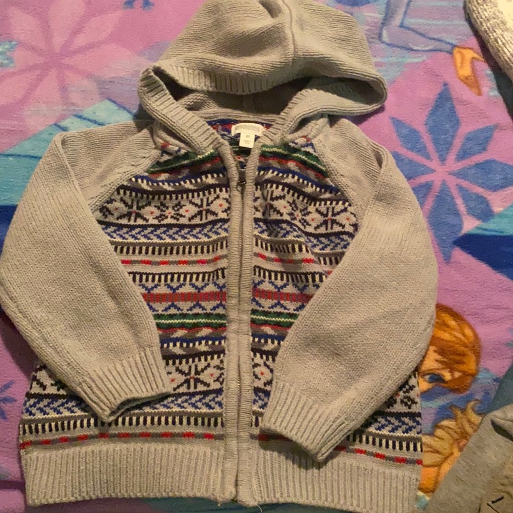 Gymboree Hooded Zip Up Sweater